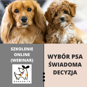 Wybór psa – świadoma decyzja – szkolenie online