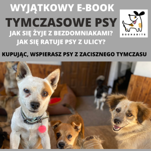 TYMCZASOWE PSY. JAK SIĘ ŻYJE Z BEZDOMNIAKAMI E-BOOK