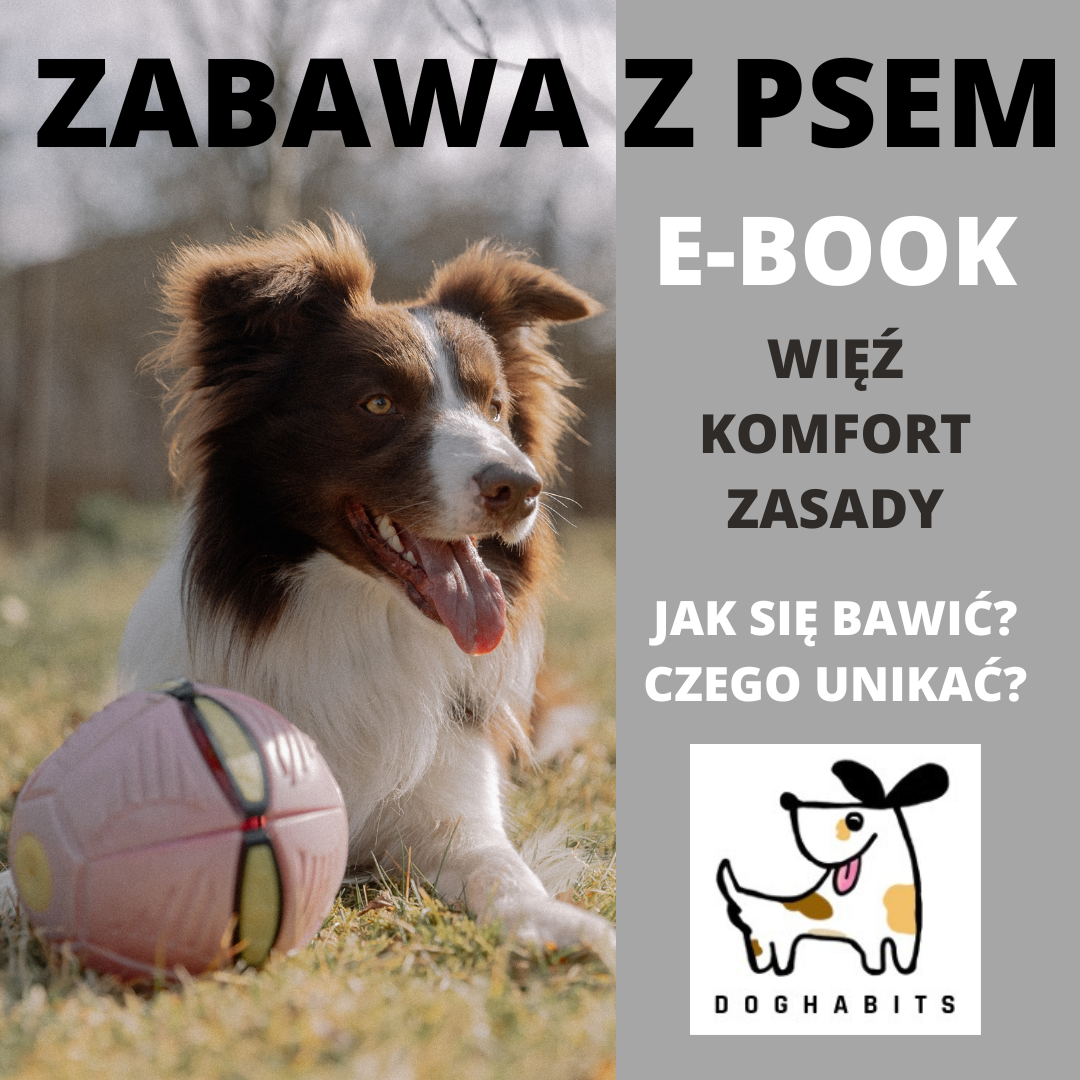 Zabawa z psem E-BOOK