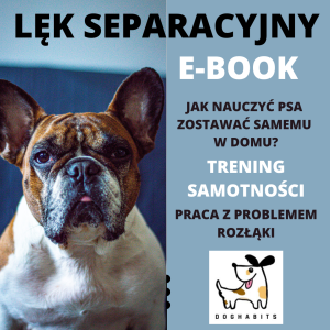 Lęk separacyjny E-BOOK