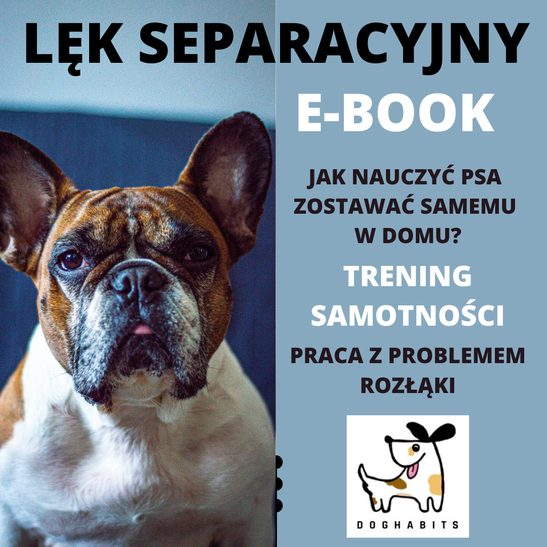 Lęk separacyjny E-BOOK