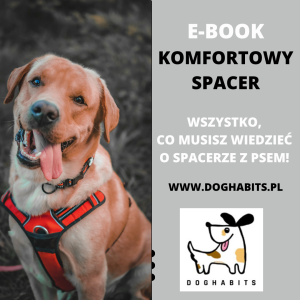 KOMFORTOWY SPACER  E-BOOK