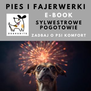 E-BOOK PIES I FAJERWERKI